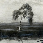 Birke im Moor, lgemlde von Paul Moennich 1897
